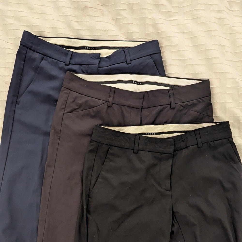 3X Theory Pants Size 6